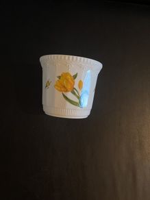 Flower Pot Aynsley  'Chelsea Flowers' design