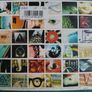Pearl Jam - No Code CD (1996) Digipak Fold Out Version Rock VG+ Image 2