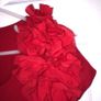 Savida Dress Image 5