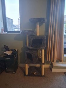 Large Cat Tree