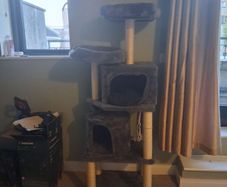 Large Cat Tree