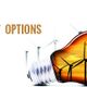 Energy Options