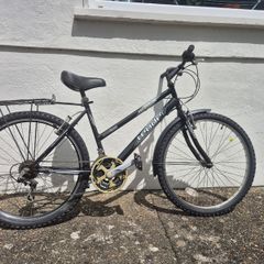 Bicycle for ladies