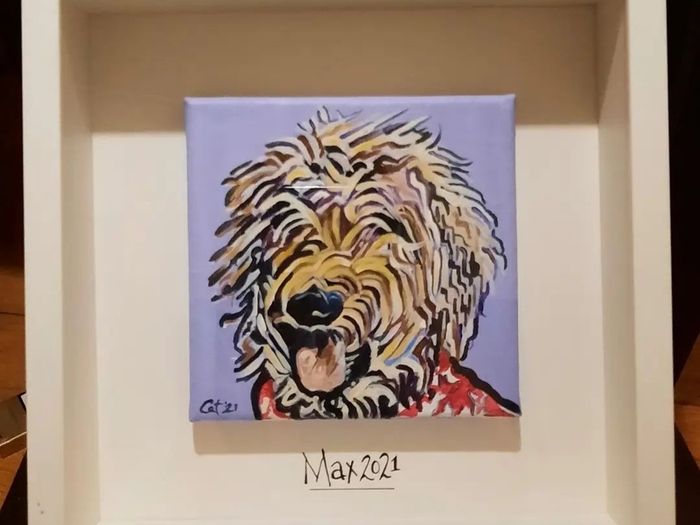 Pet Portraits