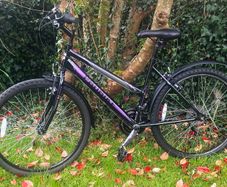 Ladies 26" Bicycle