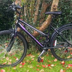 Ladies 26" Bicycle