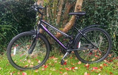 Ladies 26" Bicycle