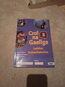 Croi na Gaeilge Leabhar Gniomhaiocht