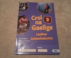 Croi na Gaeilge Leabhar Gniomhaiocht