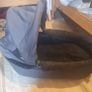 Teutonia buggy pram Image 2