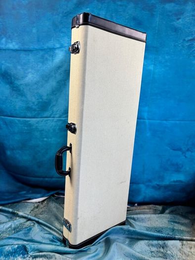 Boston California electric guitar case.