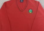 luttrellstown school jumper size 46