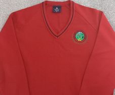 luttrellstown school jumper size 46