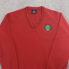 luttrellstown school jumper size 46