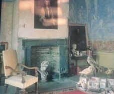 In the Houses of Ireland