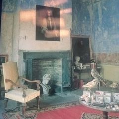 In the Houses of Ireland