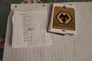wolves premier league cards