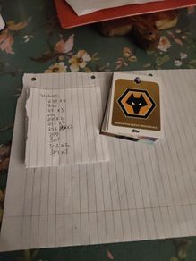 wolves premier league cards