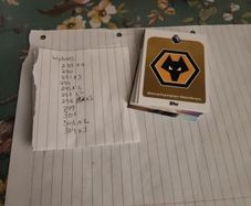 wolves premier league cards