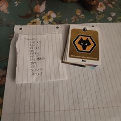 wolves premier league cards