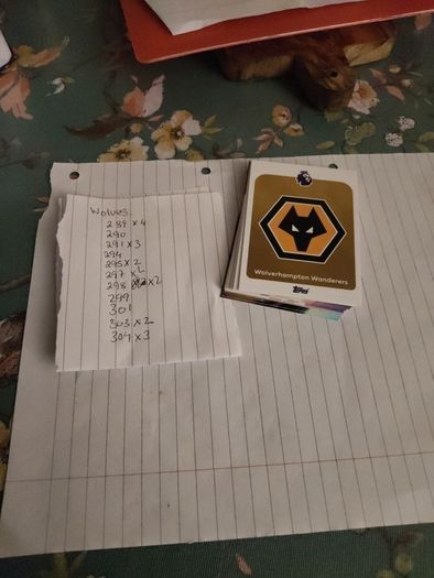wolves premier league cards