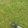 Electric scooter Image 5
