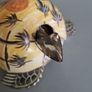 Tortoise bobbing head Image 4