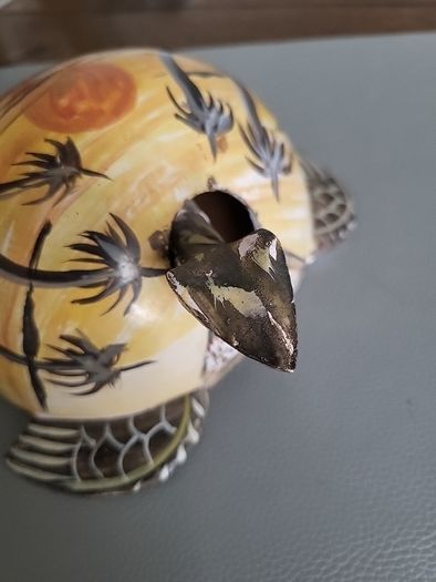 Tortoise bobbing head