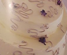 COOKBOOK - Beginners Guide to Cake Decorating