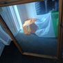 Large wooden framed mirror Image 2