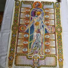 Poster: Micro Cosmus Poster. By Giovanni Tavaglione. Astrological, star signs. Arti Grafiche Ricordi S.P.A.