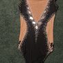 leotard Image 2