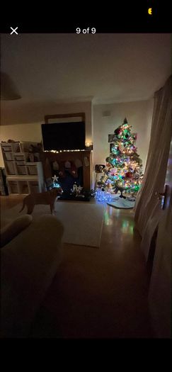 Christmas Bundle Tree and Lights and Garlands and Decorations