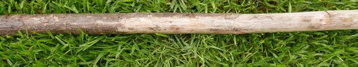 Traditional wooden shillelagh - rustic walking stick