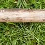 Traditional wooden shillelagh - rustic walking stick Image 4
