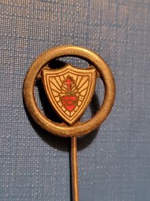 Pioneer pin
