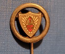 Pioneer pin