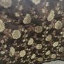 fabric Image 2