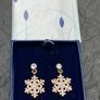 Rose Plated Earrings Image 2