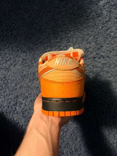 Nike SB Orange lobster