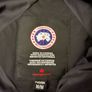 canada goose Image 3