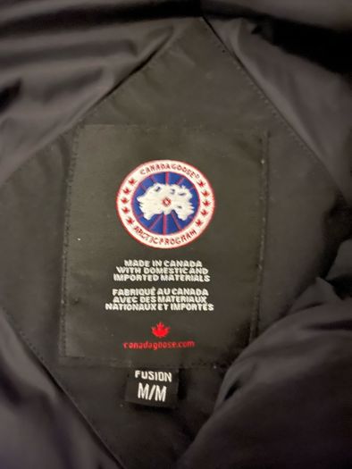canada goose