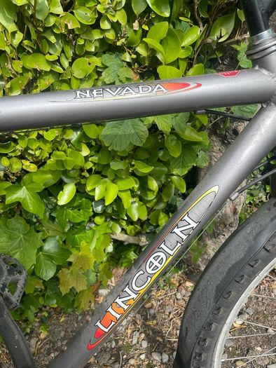 mountain bike adult size