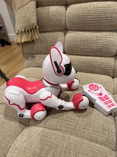 Dog Robot