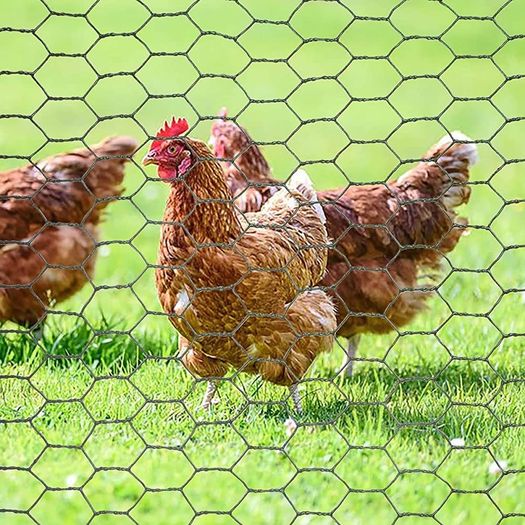 3mX0.4m Chicken Wire Mesh Roll,Chicken Wire Fence 25mm Hole Size,Strong Galvanized Wire Mesh Fence,Fine Mesh Garden Fence for DIY Craft Poultry Pet Rabbit Chicken Fence (FREE POSTAGE)