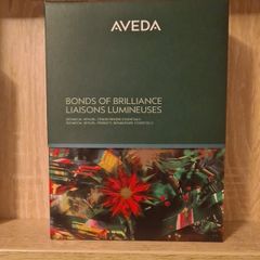 Aveda Set. Treatment, Botanical Repair Strengthening Shampoo 100ml  Botanical Repair Strengthening Conditioner 100ml .Free Detangling Brush also. SEALED PRODUCTS