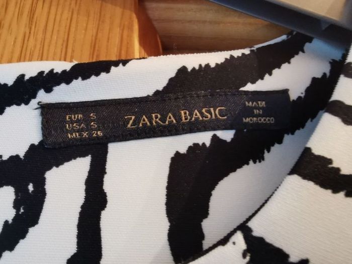 Zara Zebra Print Dress