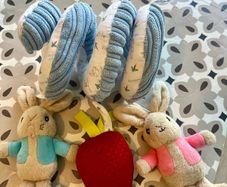 Buggy Toy