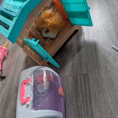 Little live pets
