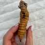 Schleich 2007 Orange Bengal Tiger Figure Animal Safari Zoo Retired Used Please see photos Image 6